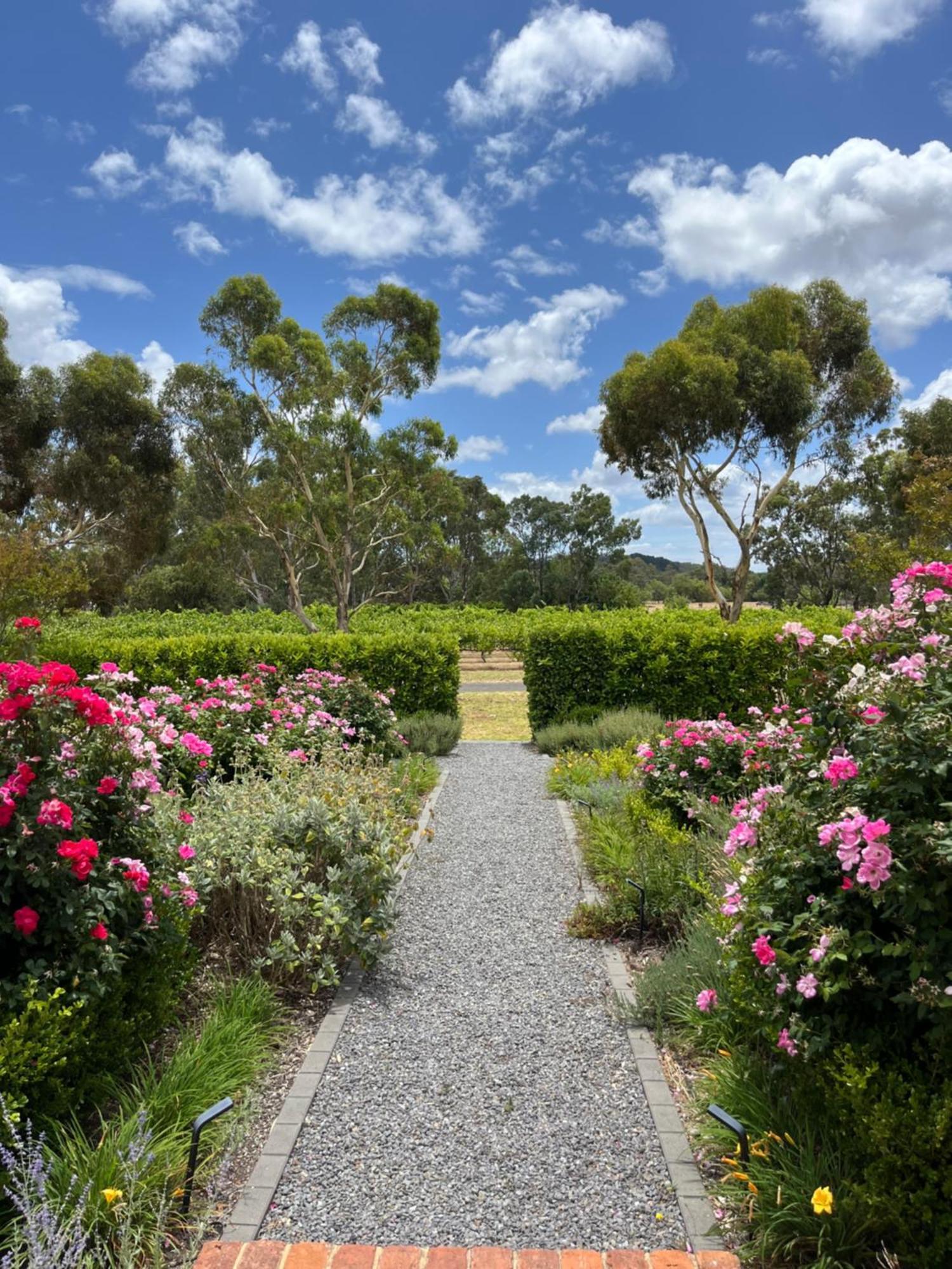 Oxenberry Farm Villa Mclaren Vale Dış mekan fotoğraf